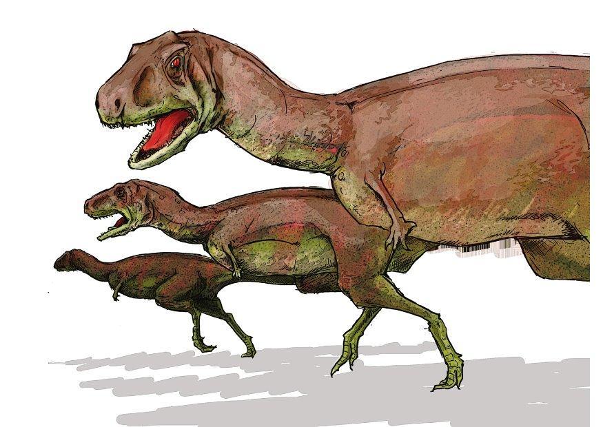 aucasaurus Imagen aucasaurus