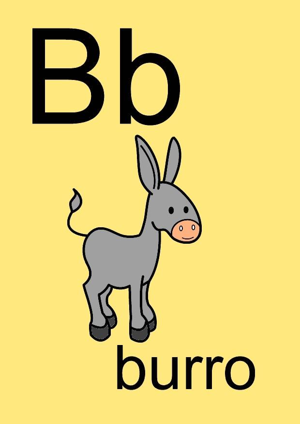b Imagen b