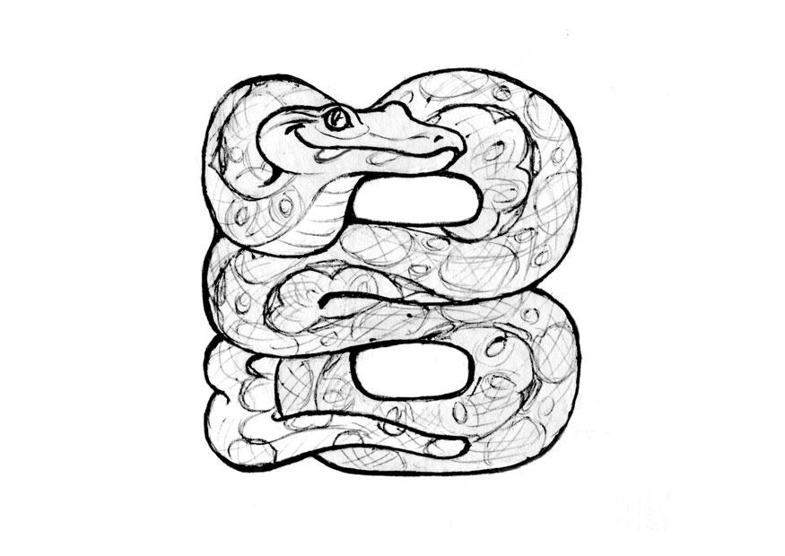 b-boa Dibujo para colorear b-boa