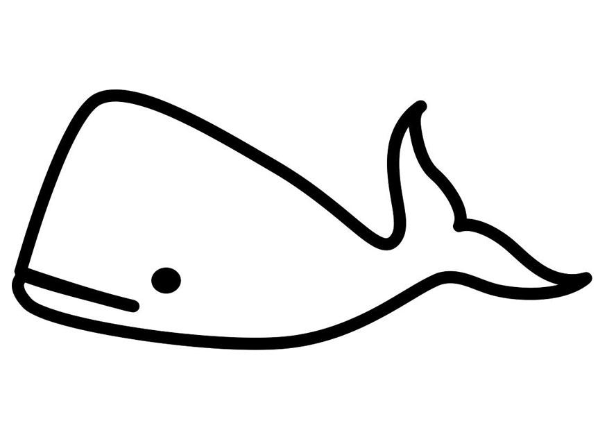 ballena Dibujo para colorear ballena