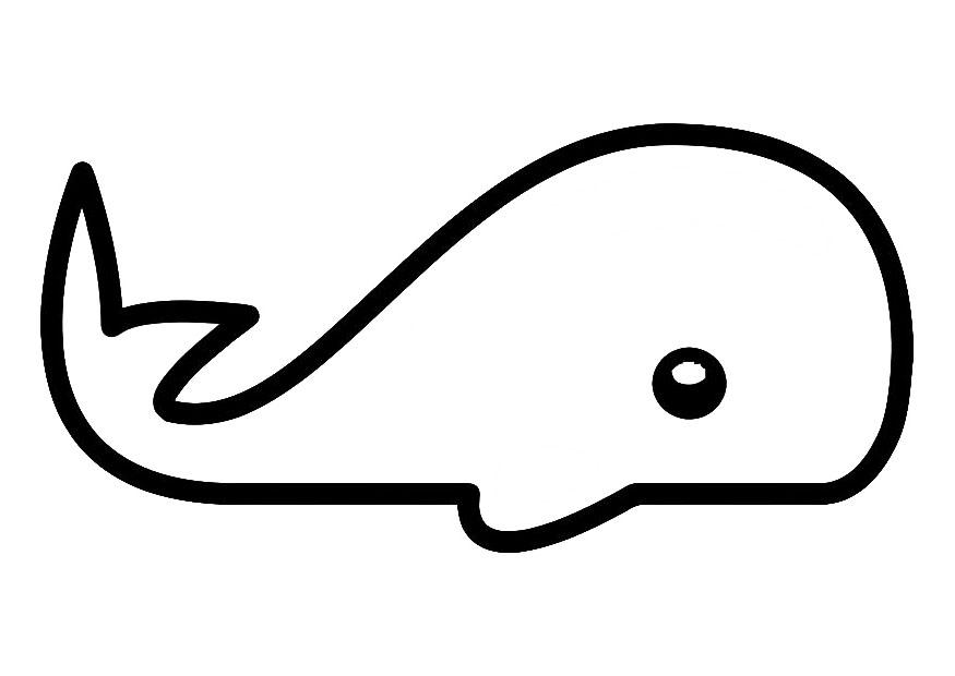 ballena Dibujo para colorear ballena