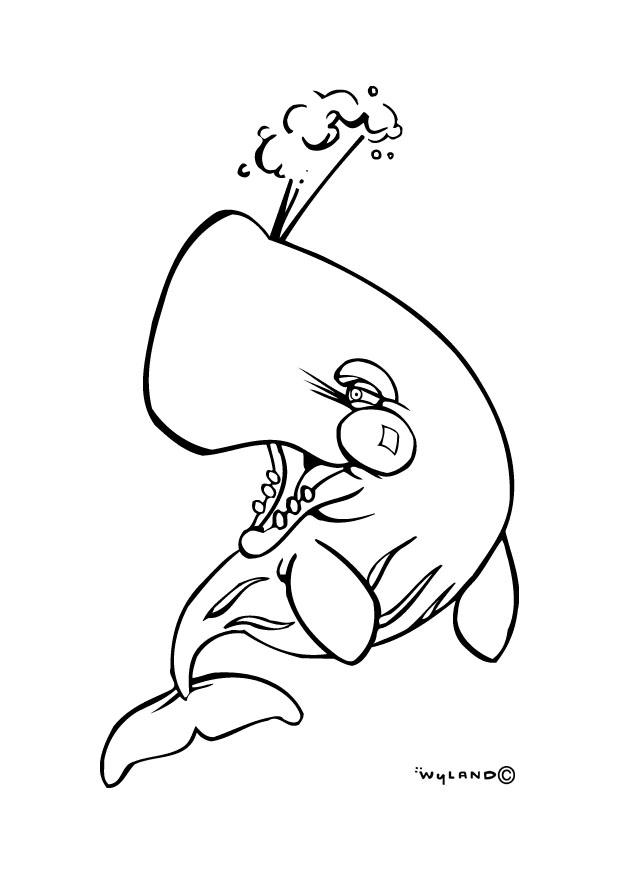 ballena Dibujo para colorear ballena