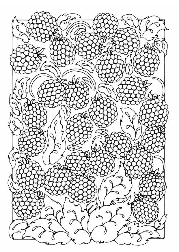 bayas Dibujo para colorear bayas