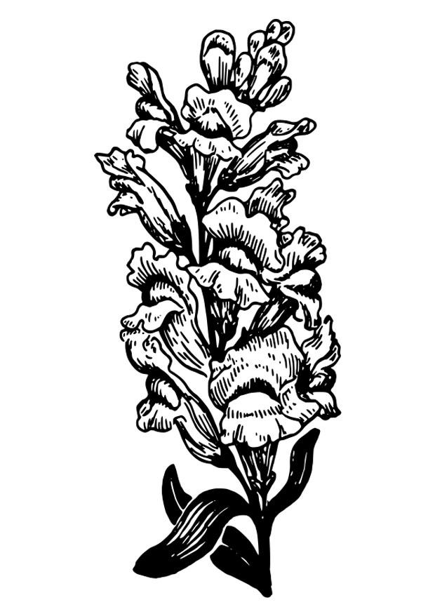 Dibujo para colorear boca de dragA³n