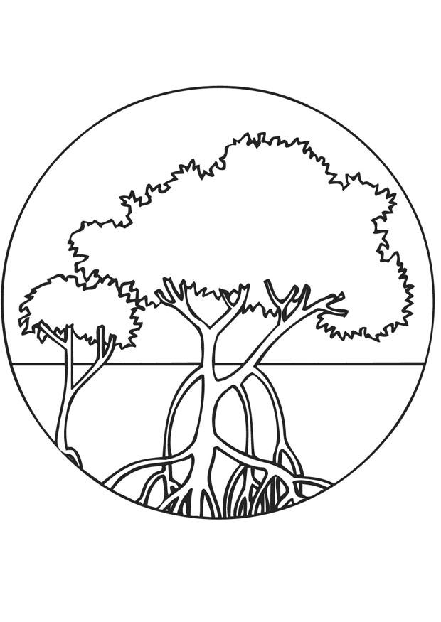 bosque de mangle Dibujo para colorear bosque de mangle