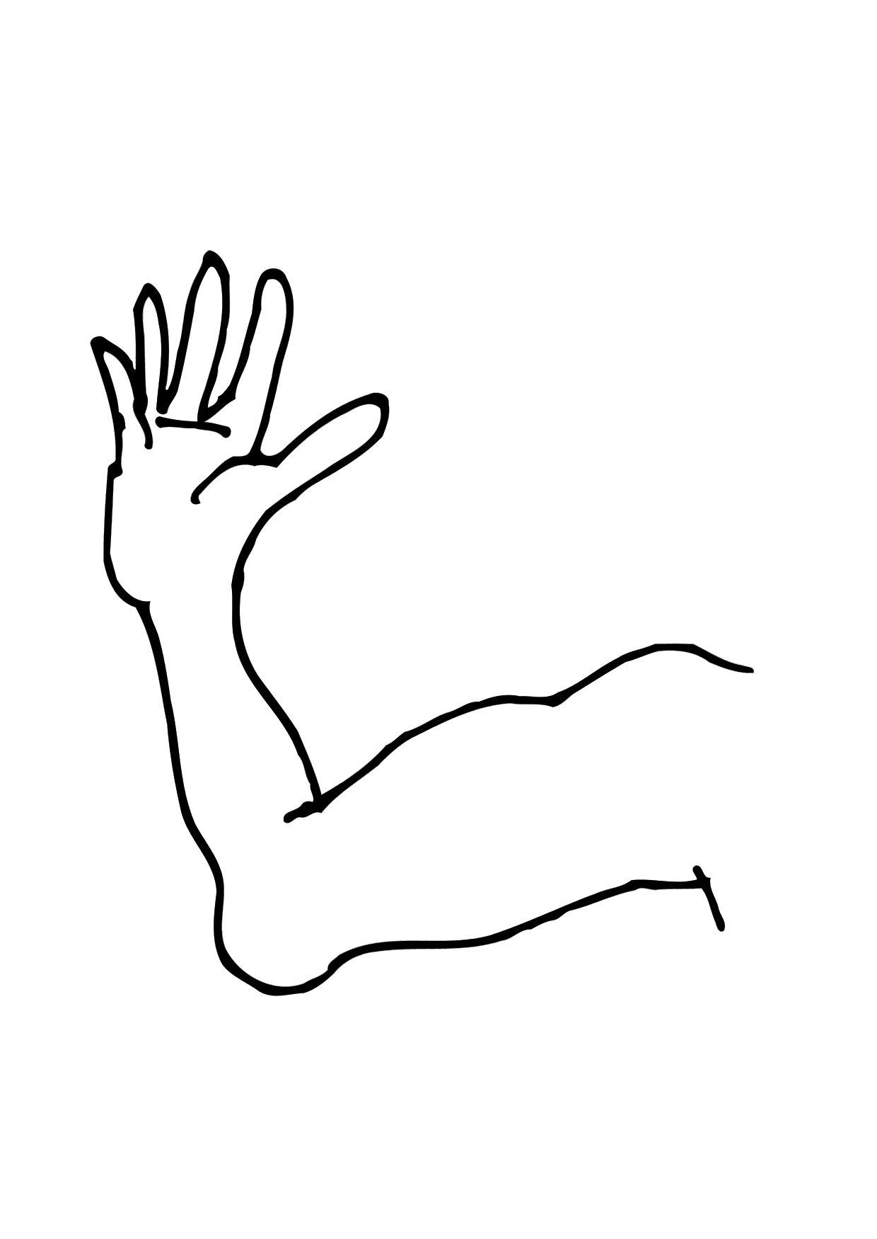 brazo Dibujo para colorear brazo