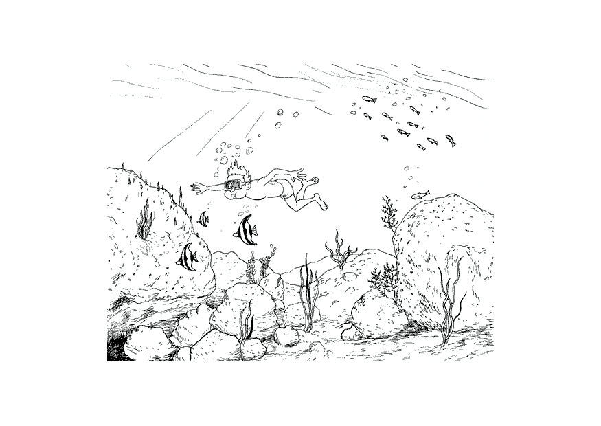 Dibujo para colorear buceador con peces