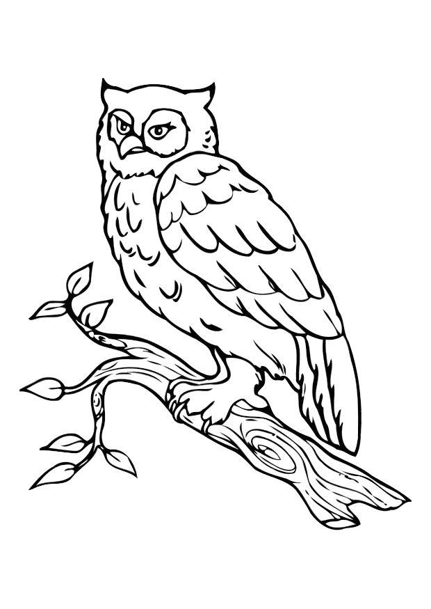 bAºho Dibujo para colorear bAºho