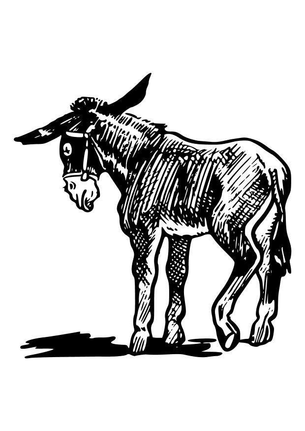 burro Dibujo para colorear burro