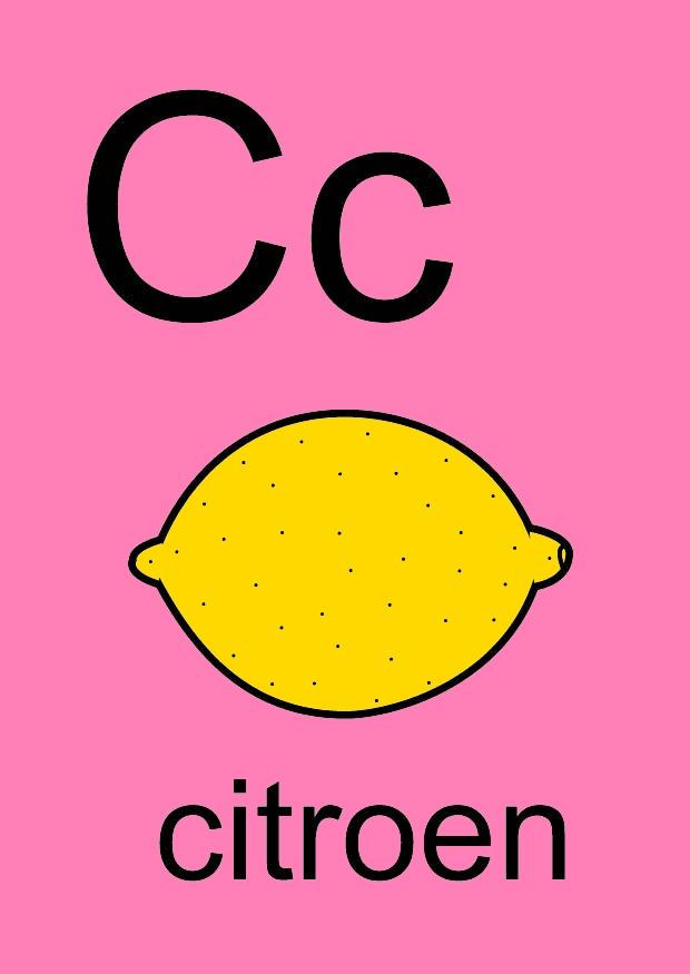 c Imagen c