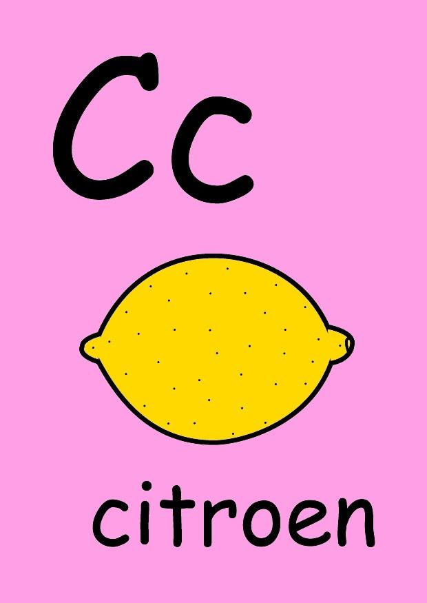 c Imagen c