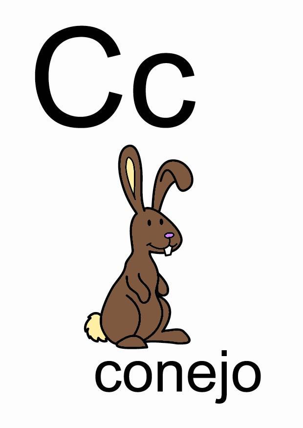 c Imagen c