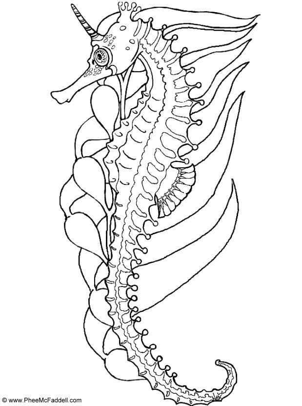 Dibujo para colorear caballito de mar