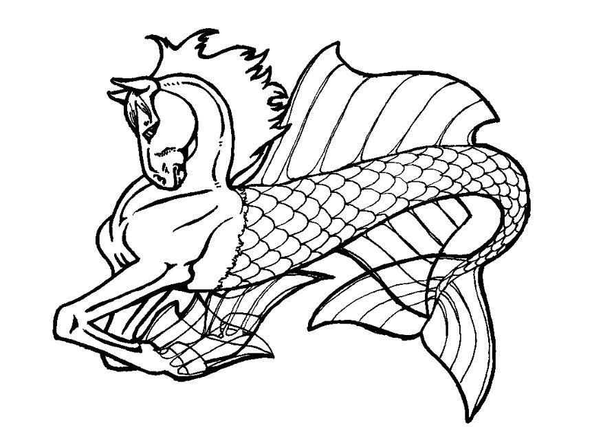 caballito de mar Dibujo para colorear caballito de mar