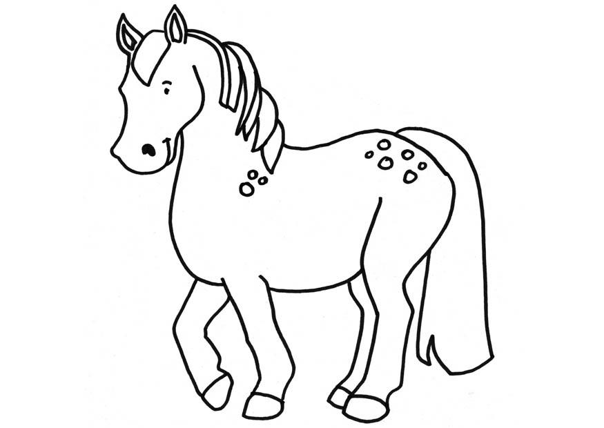 caballo Dibujo para colorear caballo