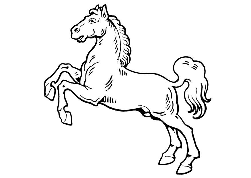 caballo Dibujo para colorear caballo
