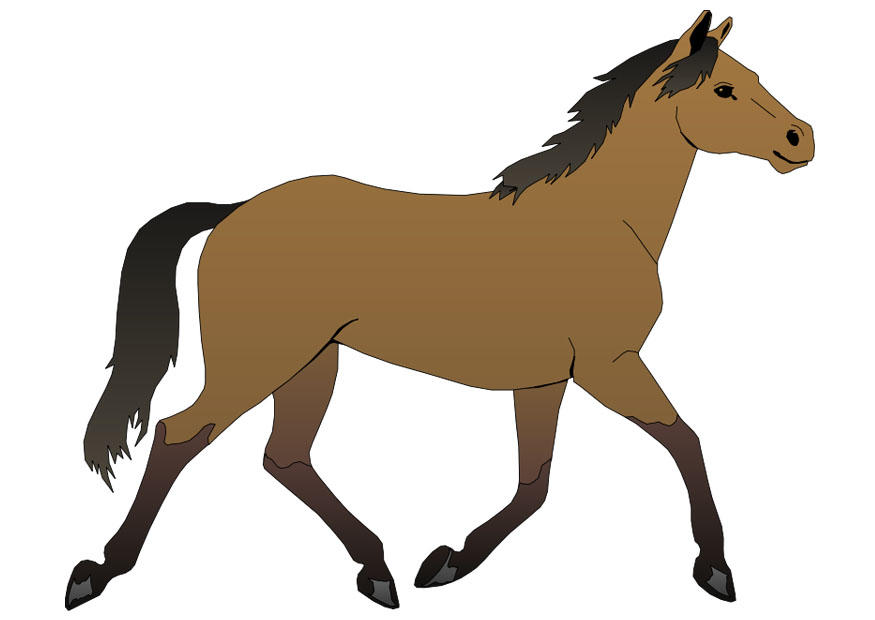 caballo Imagen caballo