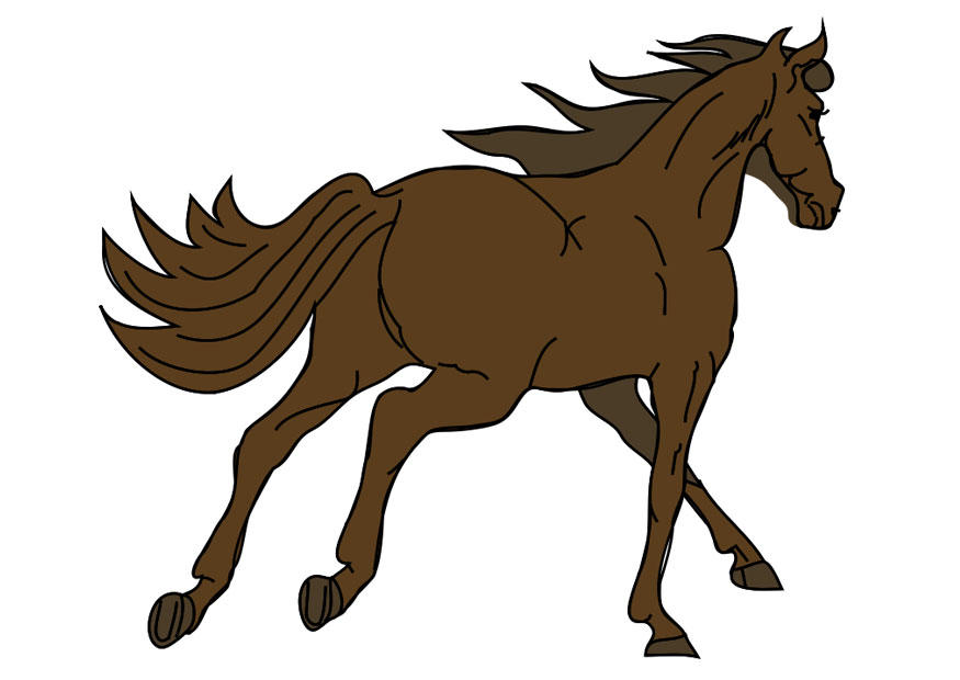 caballo Imagen caballo