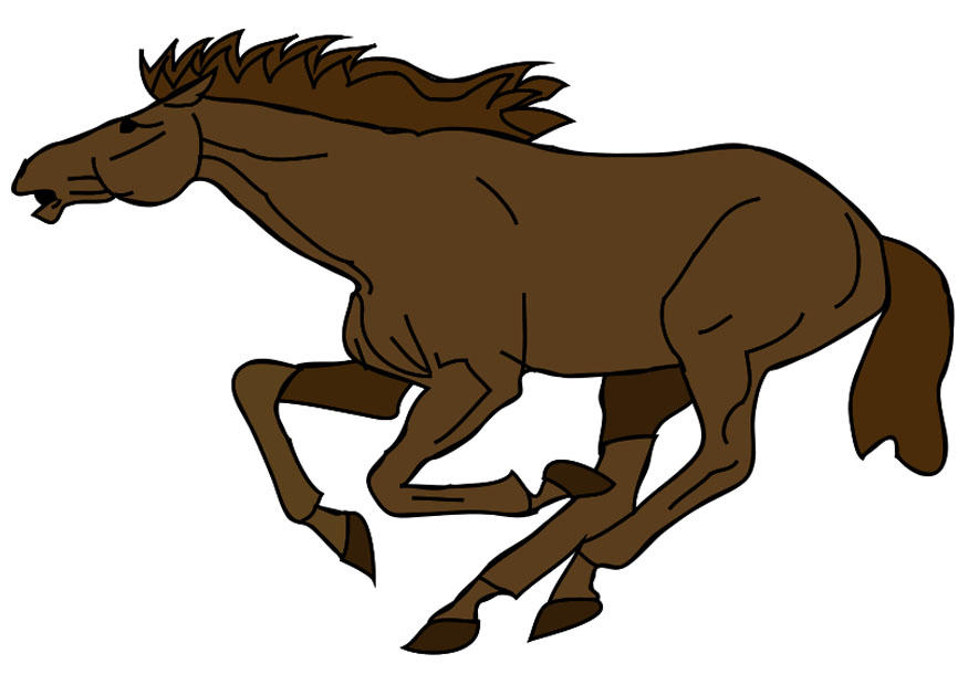 caballo Imagen caballo