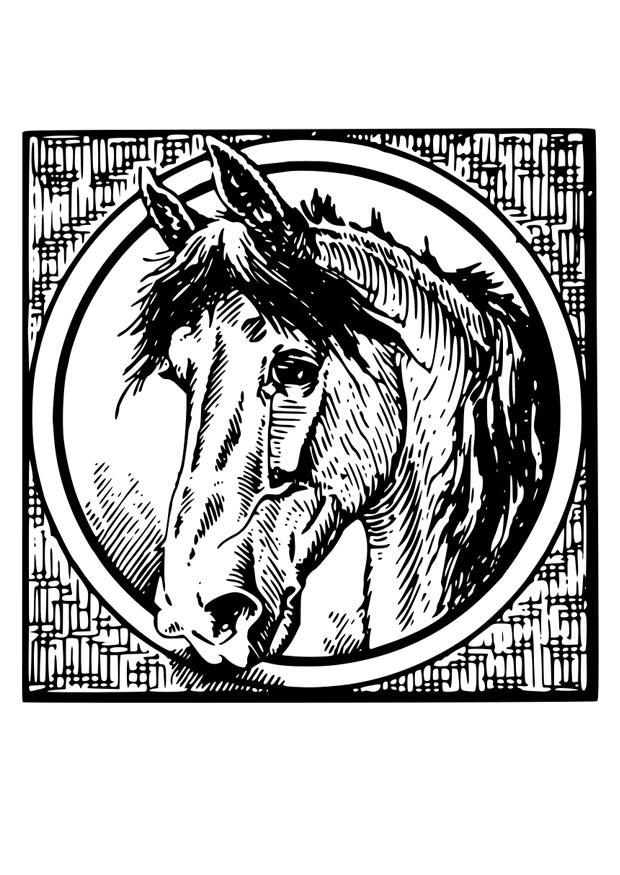 caballo Dibujo para colorear caballo