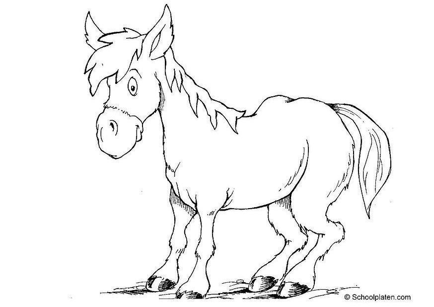 caballo Dibujo para colorear caballo