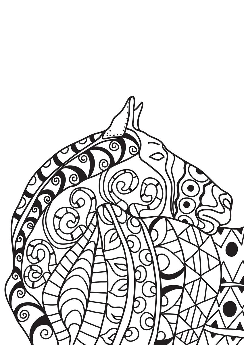 caballo Dibujo para colorear caballo