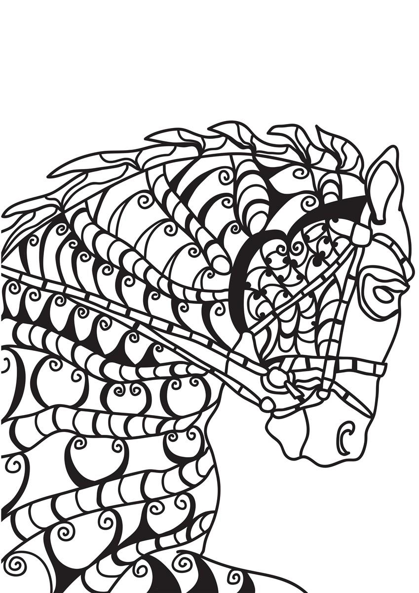 caballo Dibujo para colorear caballo
