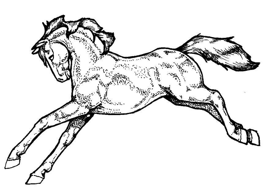 caballo Dibujo para colorear caballo