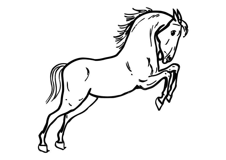 caballo saltando Dibujo para colorear caballo saltando