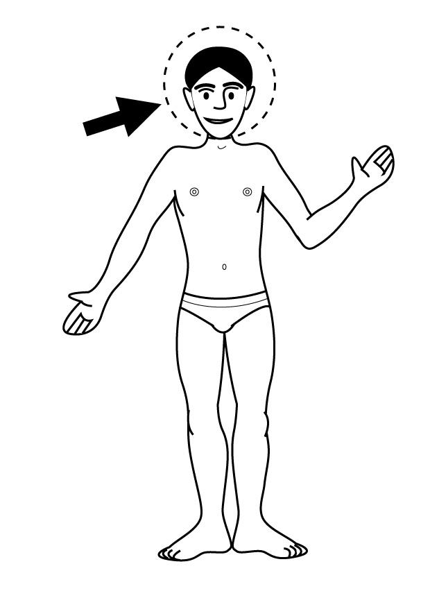 cabeza Dibujo para colorear cabeza