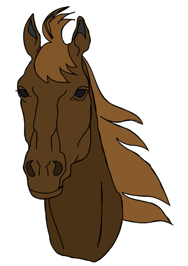 cabeza de caballo Imagen cabeza de caballo