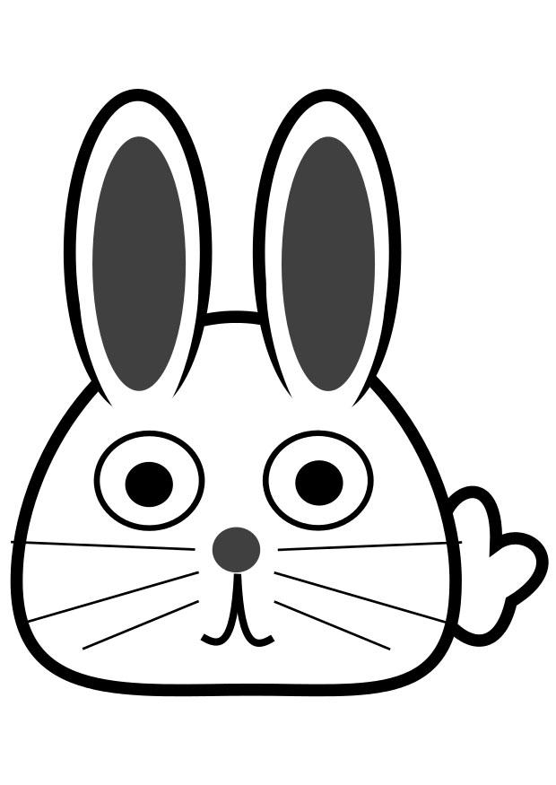 cabeza de conejo Dibujo para colorear cabeza de conejo