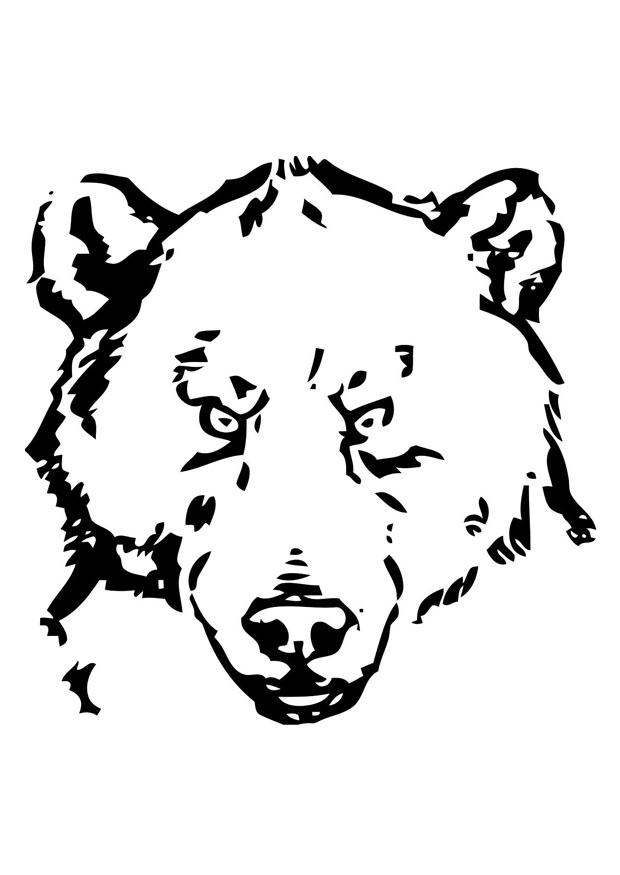 cabeza de oso Dibujo para colorear cabeza de oso