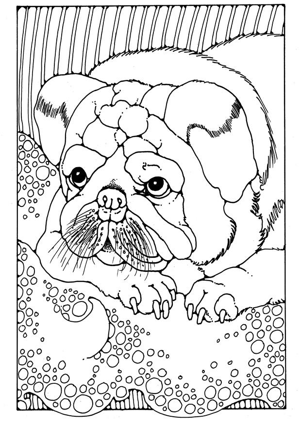 cachorro Dibujo para colorear cachorro