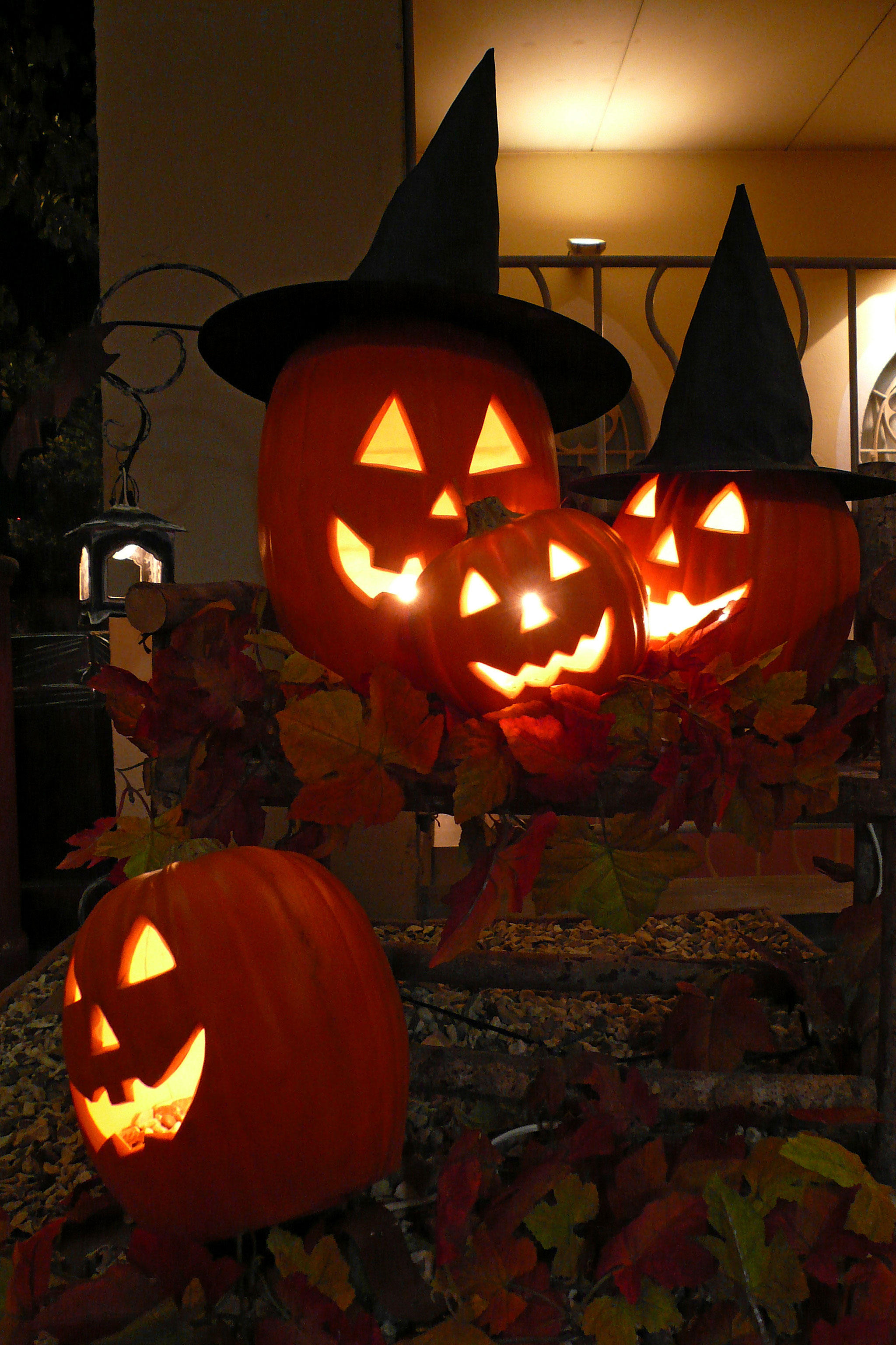 calabaza Foto calabaza