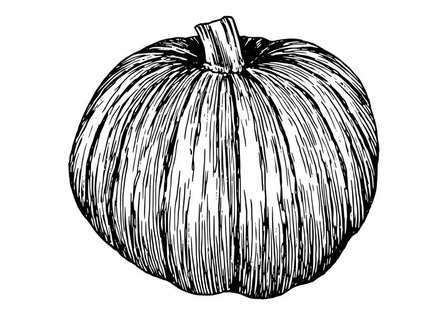 calabaza Dibujo para colorear calabaza