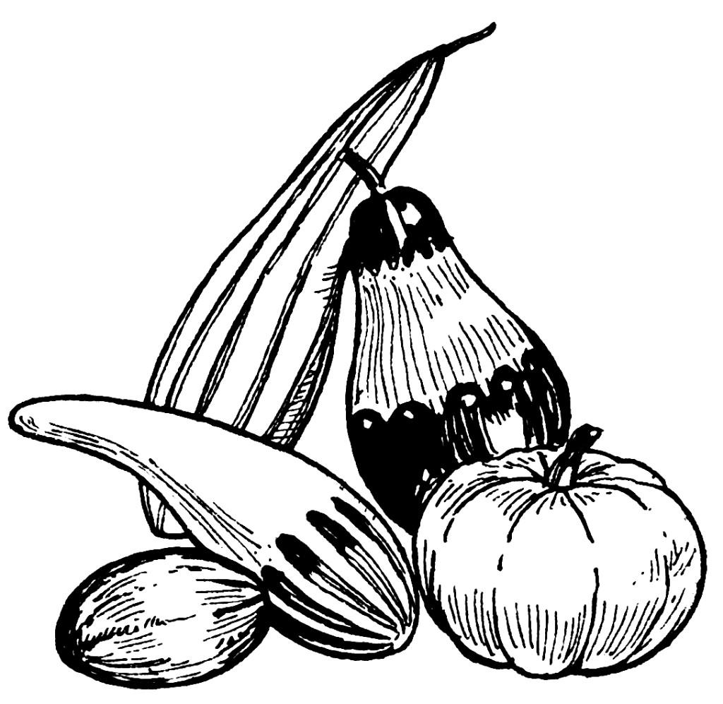 calabazas Dibujo para colorear calabazas