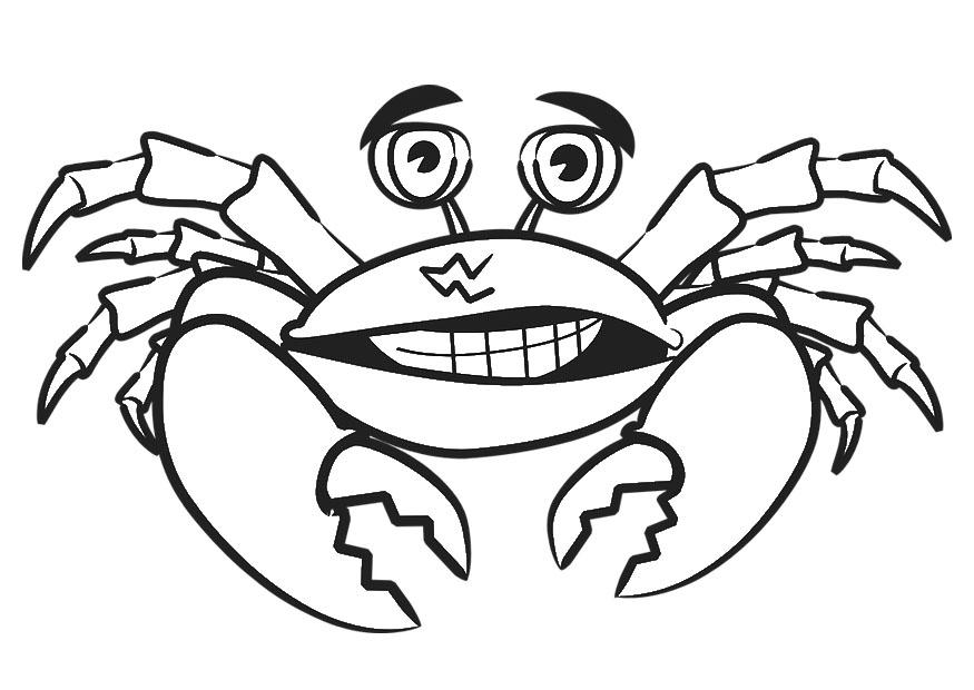 cangrejo Dibujo para colorear cangrejo