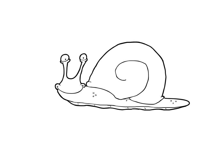 caracol Dibujo para colorear caracol