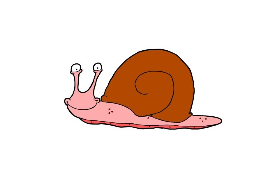 caracol Imagen caracol