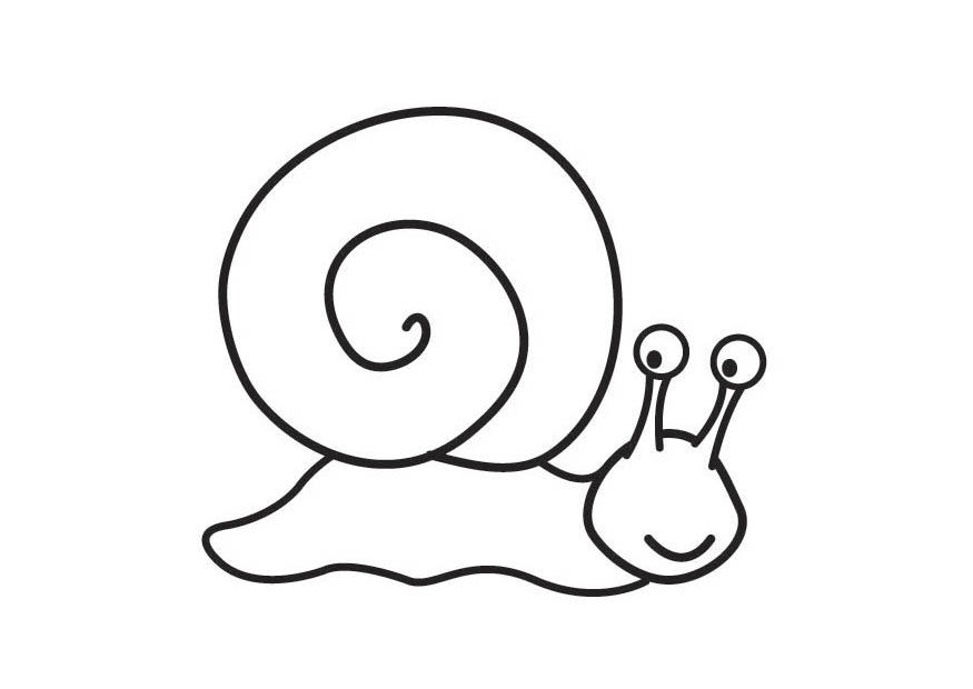 caracol Dibujo para colorear caracol