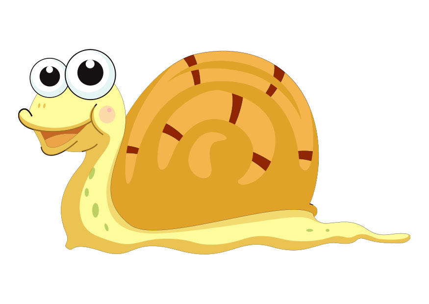 caracol Imagen caracol