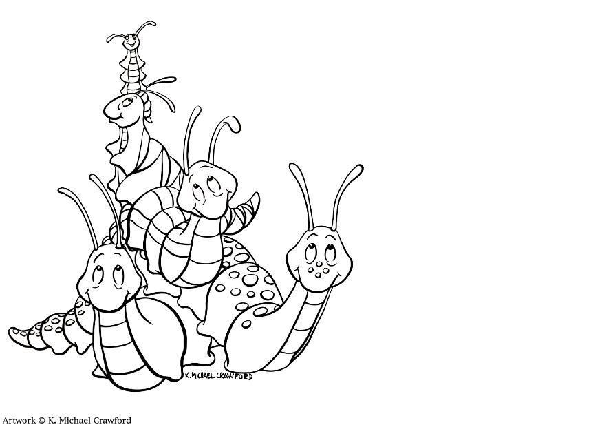 caracoles Dibujo para colorear caracoles