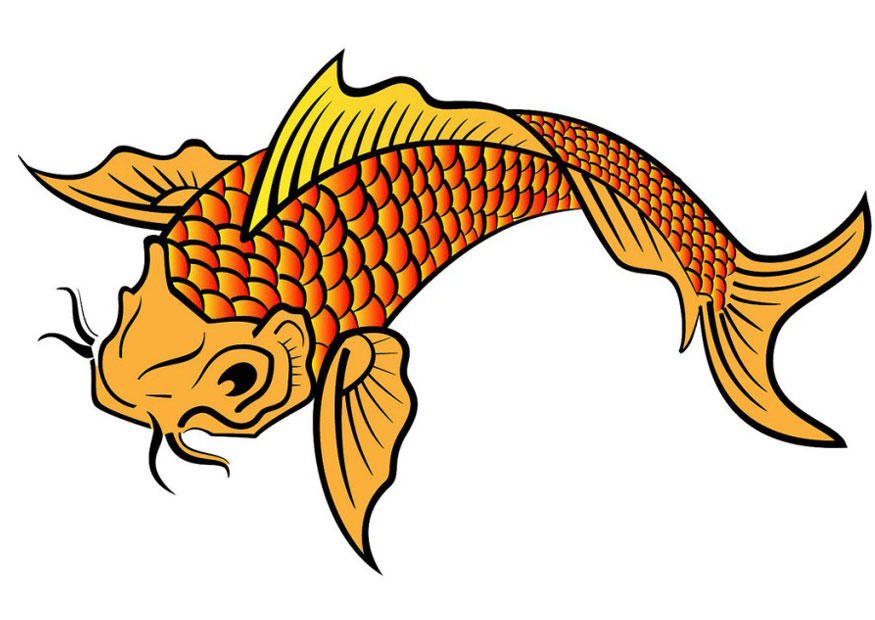 carpa Imagen carpa