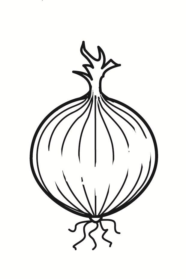 cebolla Dibujo para colorear cebolla