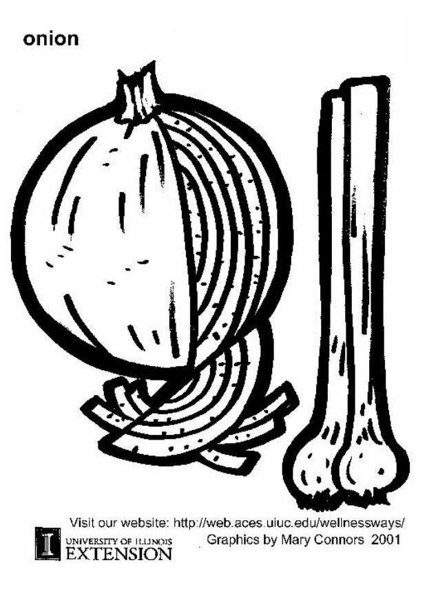cebolla Dibujo para colorear cebolla
