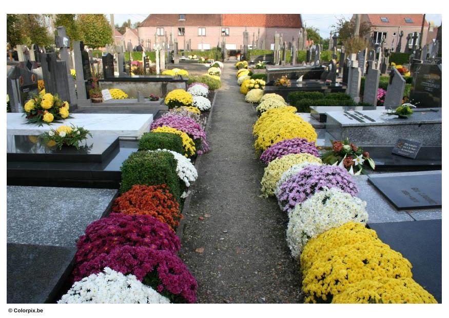 cementerio Foto cementerio