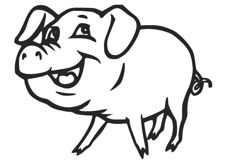 cerdo Dibujo para colorear cerdo