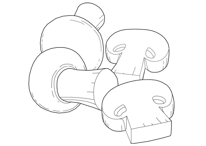 champinones Dibujo para colorear champinones