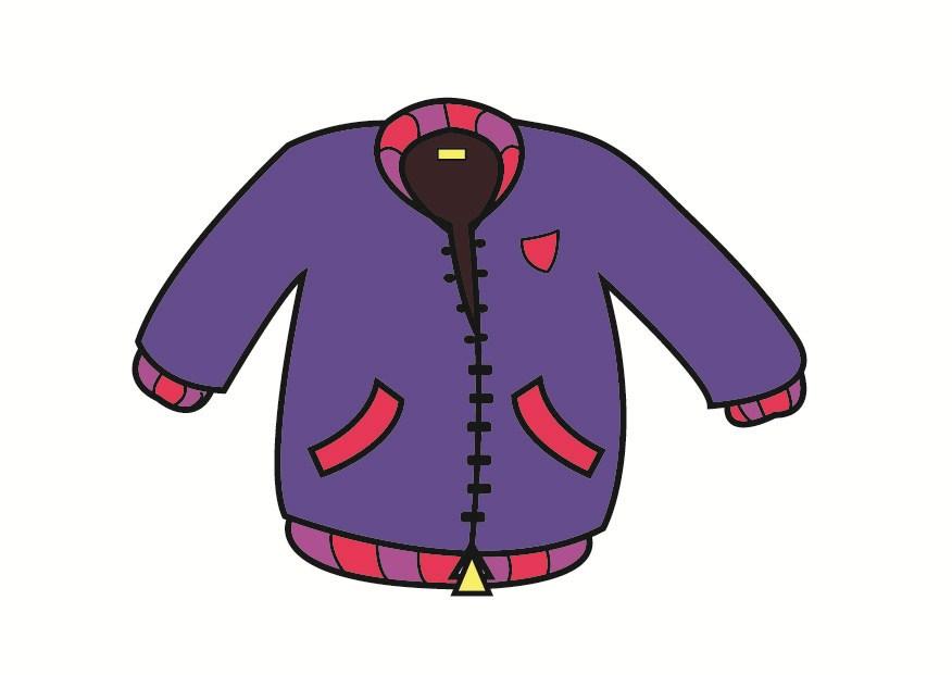 Imagen chaquetA³n